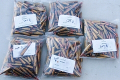 Canty Branch Auction 2018 001